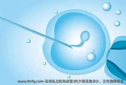 云南私立机构试管3代大概花费多少，三代费用概览