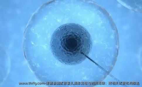 详解泰国试管婴儿具体流程与时间周期：附相关试管机构推选