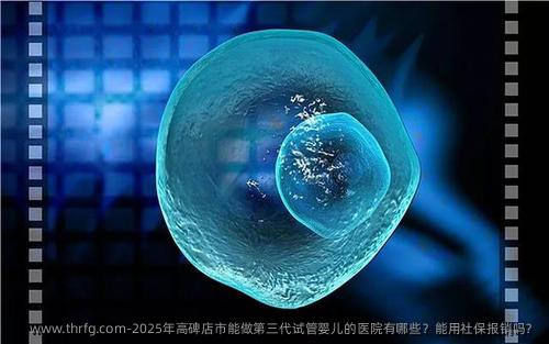 2025年高碑店市能做第三代试管婴儿的医院有哪些？能用社保报销吗？