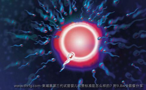 柬埔寨第三代试管婴儿收费标准是怎么样的？附9.8w全套餐分享