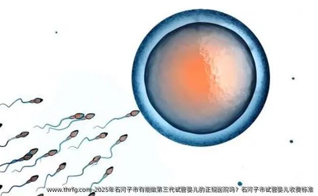 2025年石河子市有能做第三代试管婴儿的正规医院吗？石河子市试管婴儿收费标准