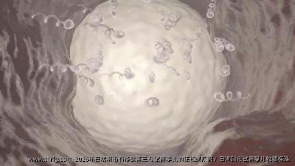2025年日喀则市有能做第三代试管婴儿的正规医院吗？日喀则市试管婴儿收费标准