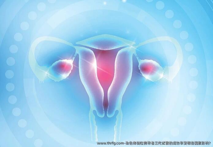 染色体倒位携带者三代试管的成功率受哪些因素影响?