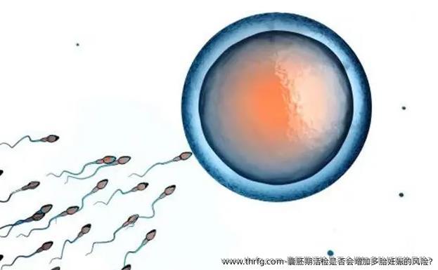 囊胚期活检是否会增加多胎妊娠的风险?