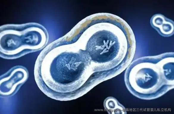 珠海地区三代试管婴儿私立机构，机构怎么选择？