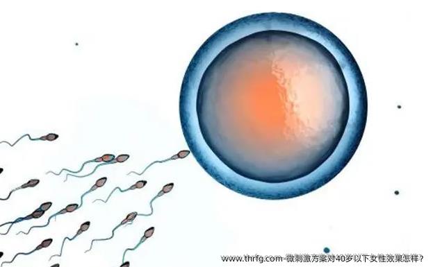 微刺激方案对40岁以下女性效果怎样？