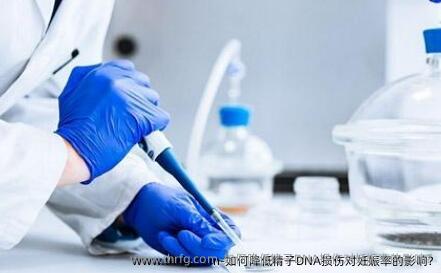 如何降低精子DNA损伤对妊娠率的影响?