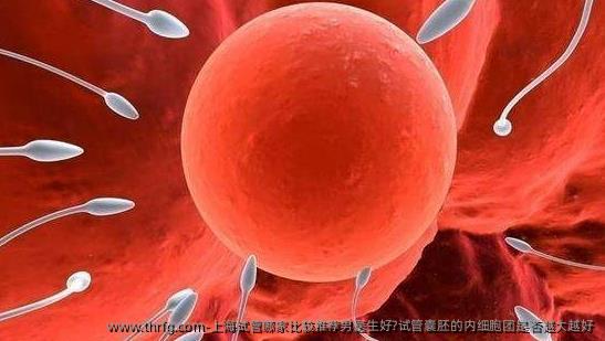 上海试管哪家比较推荐男医生好?试管囊胚的内细胞团是否越大越好