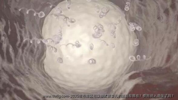 2025年市南区可以做试管婴儿的医院有哪些？费用纳入医保了吗？