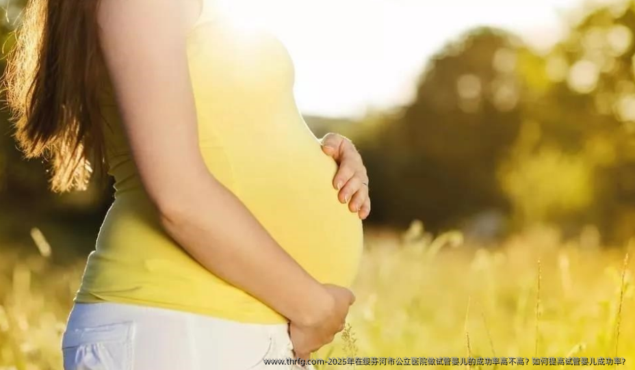2025年在绥芬河市公立医院做试管婴儿的成功率高不高？如何提高试管婴儿成功率？