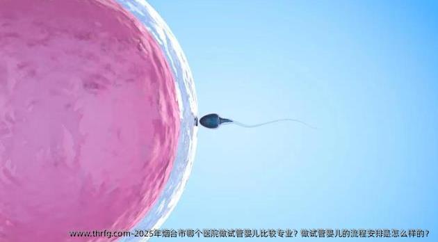 2025年烟台市哪个医院做试管婴儿比较专业？做试管婴儿的流程安排是怎么样的？