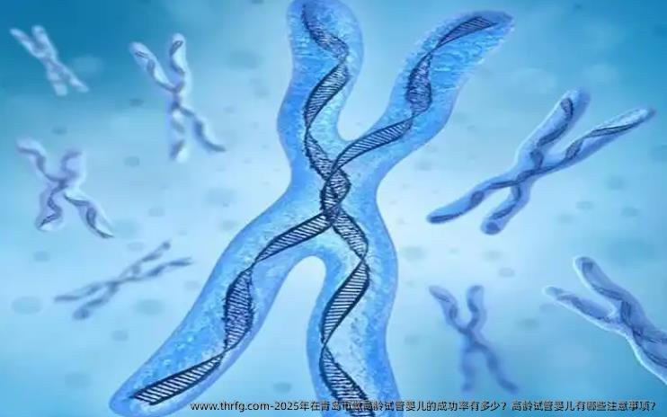2025年在青岛市做高龄试管婴儿的成功率有多少？高龄试管婴儿有哪些注意事项？