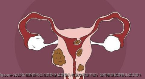 2025年在黔西市公立医院做试管婴儿的成功率高不高？如何提高试管婴儿成功率？
