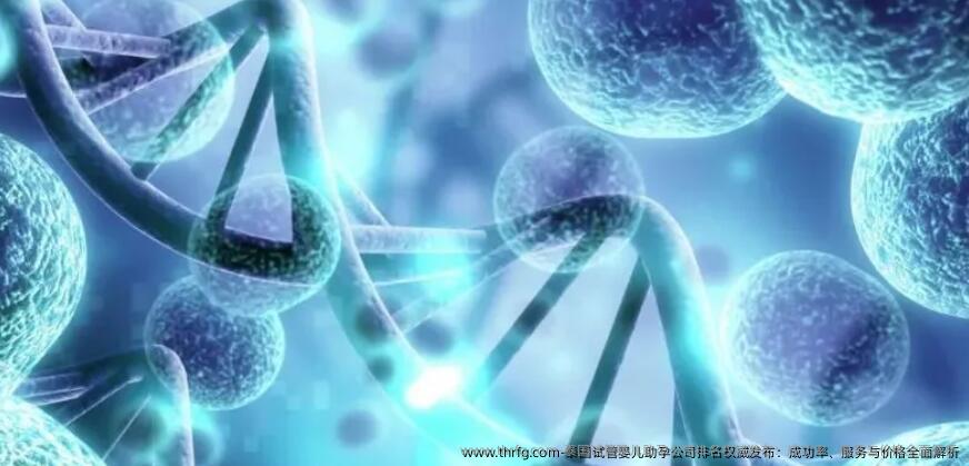 泰国试管婴儿助孕公司排名优秀发布：成功率、服务与价格全面解析