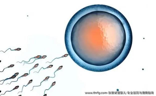 张掖试管婴儿:专业医院与费用指南，费用贵吗