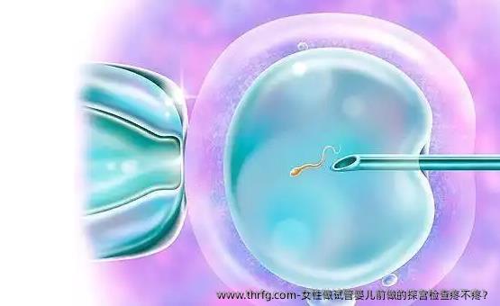 女性做试管婴儿前做的探宫检查疼不疼？