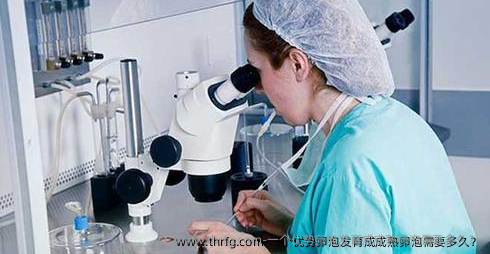 一个优势卵泡发育成成熟卵泡需要多久？