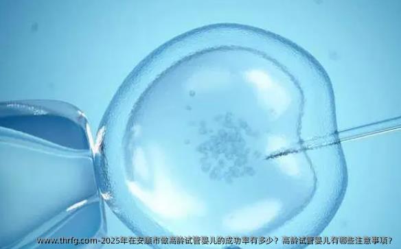 2025年在安顺市做高龄试管婴儿的成功率有多少？高龄试管婴儿有哪些注意事项？