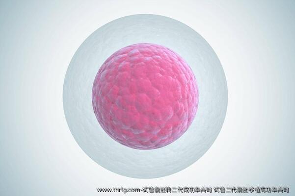 试管囊胚转三代成功率高吗 试管三代囊胚移植成功率高吗 