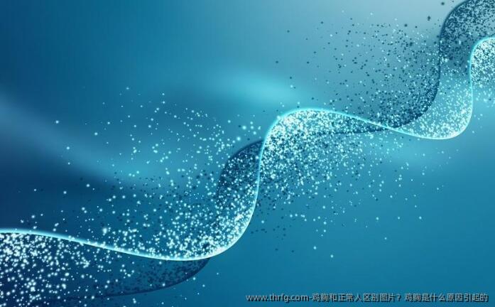 鸡胸和正常人区别图片？鸡胸是什么原因引起的