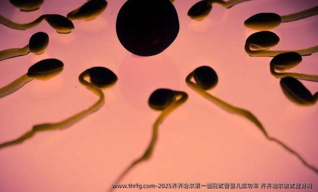 2025齐齐哈尔第一医院试管婴儿成功率 齐齐哈尔做试管好吗