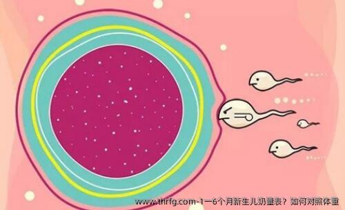 1一6个月新生儿奶量表？如何对照体重