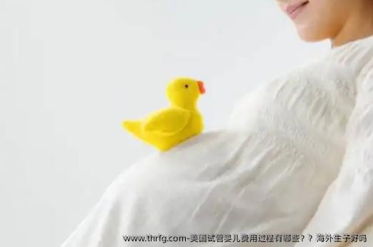美国试管婴儿费用过程有哪些？海外生子好吗
