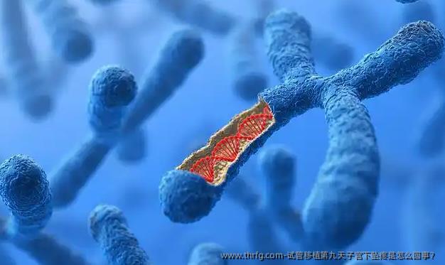试管移植第九天子宫下坠疼是怎么回事？