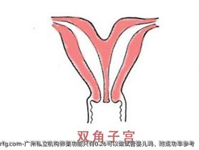 广州私立机构卵巢功能只有0.26可以做试管婴儿吗，附成功率参考