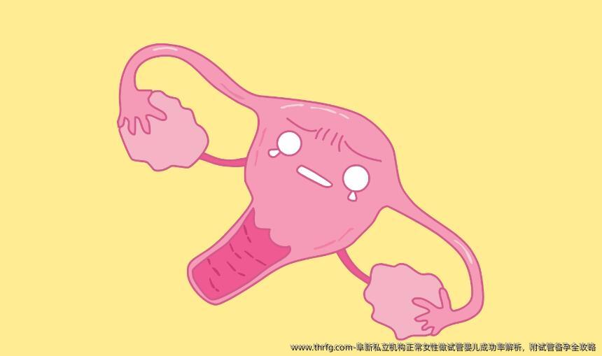 阜新私立机构正常女性做试管婴儿成功率解析，附试管备孕全攻略