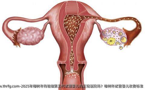 2025年樟树市有能做第三代试管婴儿的正规医院吗？樟树市试管婴儿收费标准