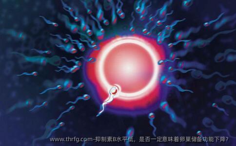 遏制素B水平低，是否一定意味着卵巢储备功能下降？