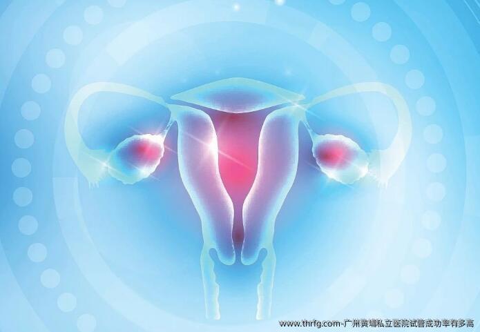 广州黄埔私立医院试管成功率怎么样？成功率高吗