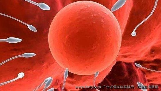 广州试管成功率排行，优秀机构揭晓