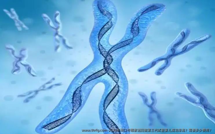 2025年周口市哪家医院做第三代试管婴儿成功率高？需要多少费用？