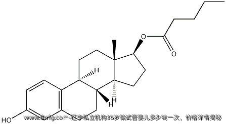 辽宁私立机构35岁做试管婴儿多少钱一次，价格详情揭秘