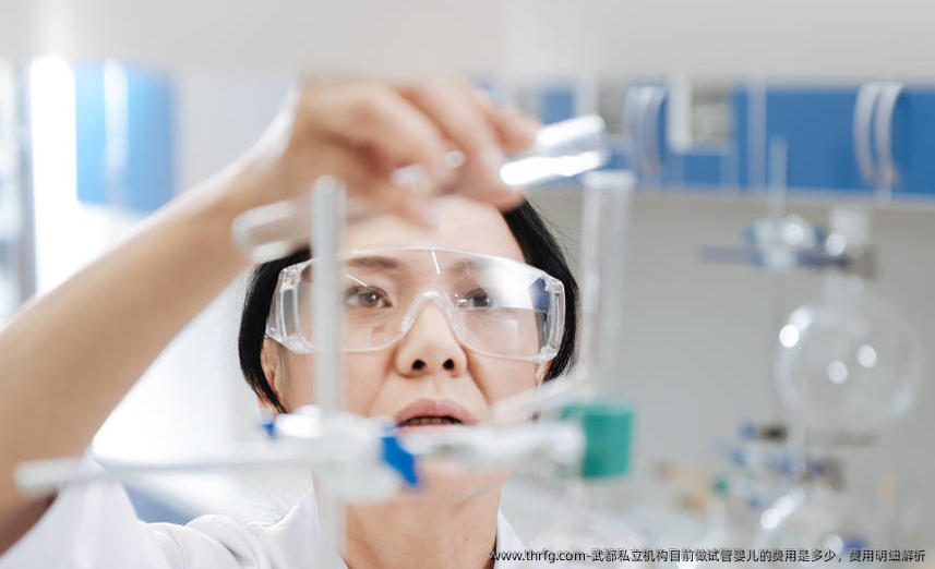 武都私立机构目前做试管婴儿的费用是多少，费用明细解析