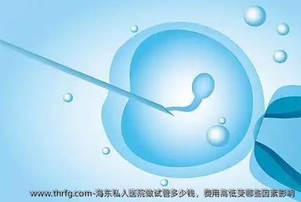 海东私人医院做试管多少钱，费用高低受哪些因素影响