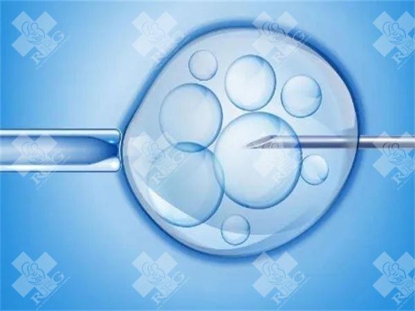 遵义医学院试管婴儿成功率高不高？可以怀孕吗