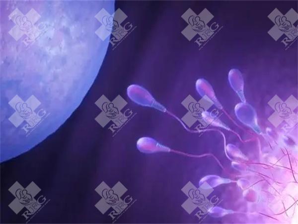 成都华西二院做试管婴儿率高吗？