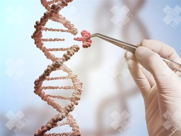 南华附一生殖中心的张晶主任做试管婴儿的成功率怎么样？