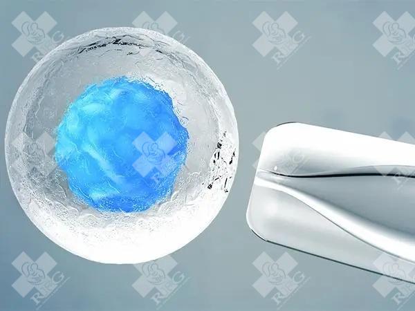 衡水生殖医院人工怀孕的成功率高吗？可以怀孕吗