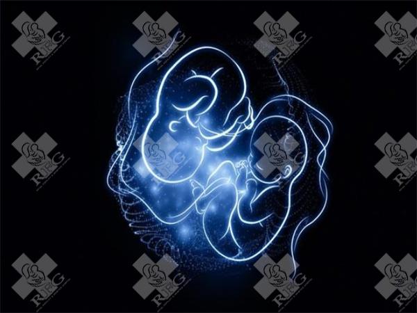 临沂妇幼好和市人民医院哪个做试管婴儿的技术好？