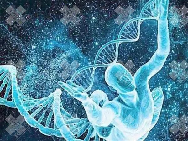 富阳区妇幼做试管婴儿的费用大概是多少？