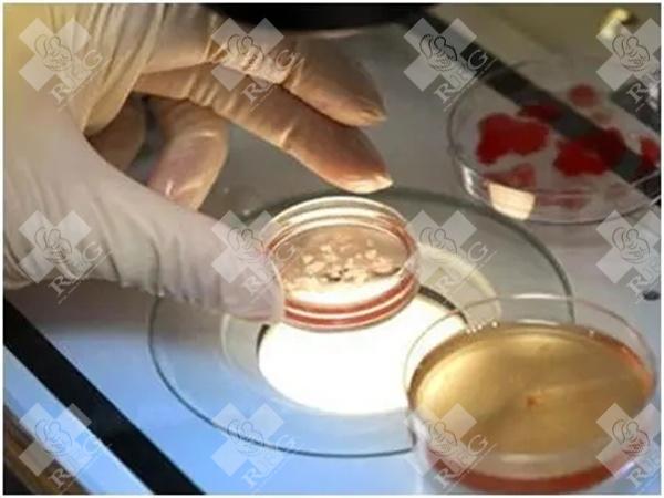 2025河南濮阳试管婴儿医院排名？成功率第一的竟是这家