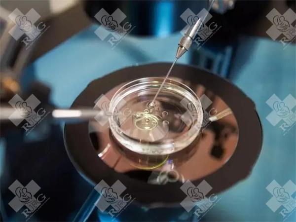 十堰人民医院试管技术解析？水平排名靠前有原因