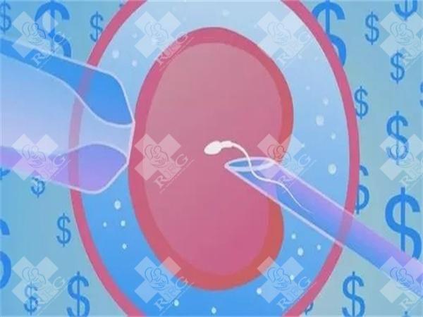 南昌三代试管费用清单详解：对照表格，明智消费！
