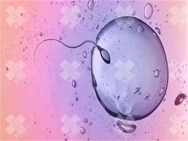 宁夏三代试管婴儿成活率有多大？成活率如何提高？