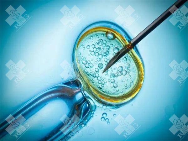 湖南第三代试管助孕费用大揭秘：究竟要花多少钱？