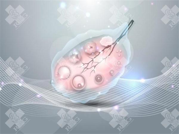 河南三代试管婴儿费用概览：费用区间与成功率分！